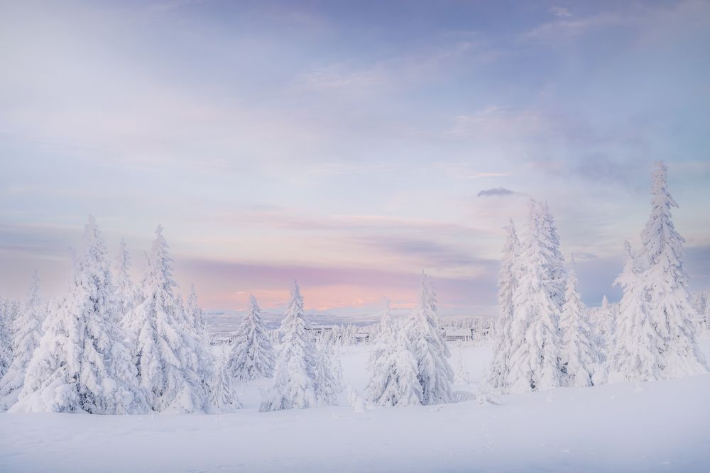 Photograph by Susn Jensen