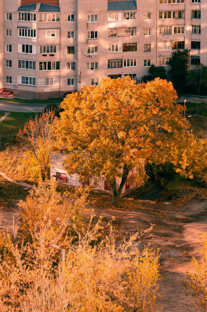 Photograph by Полина Лапкина