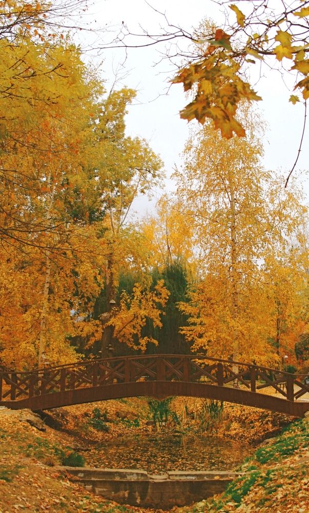 Photograph by Екатерина Иванова