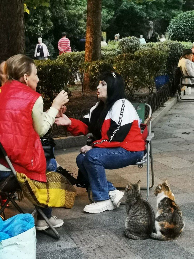 Фотография автора Андрей Богданов