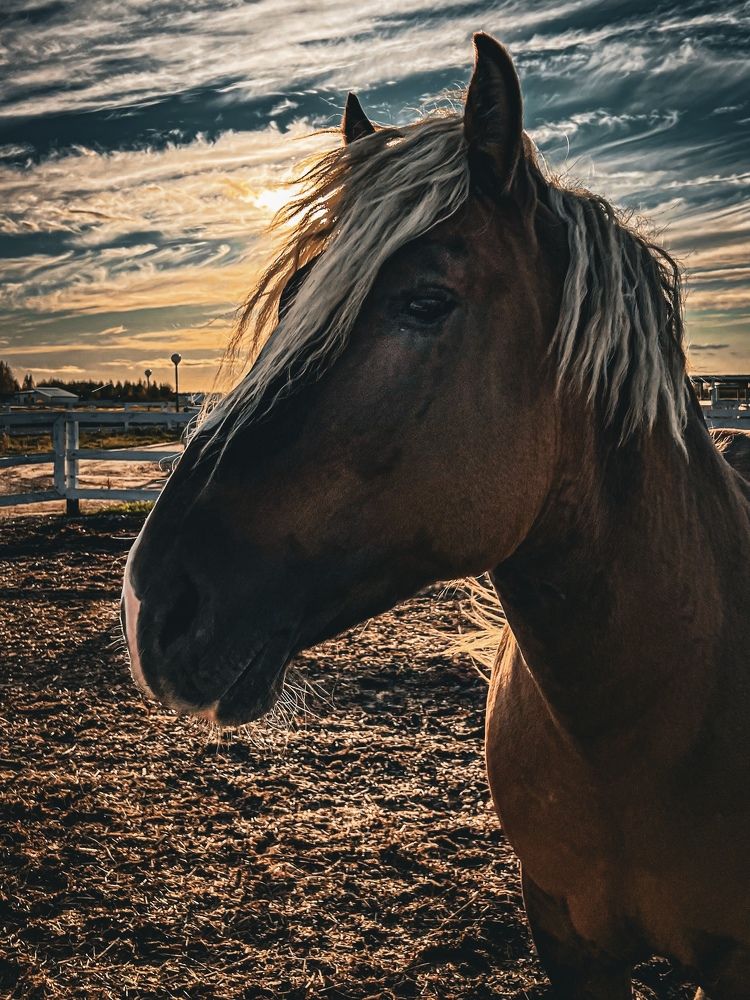 Photograph by Елена Башмакова