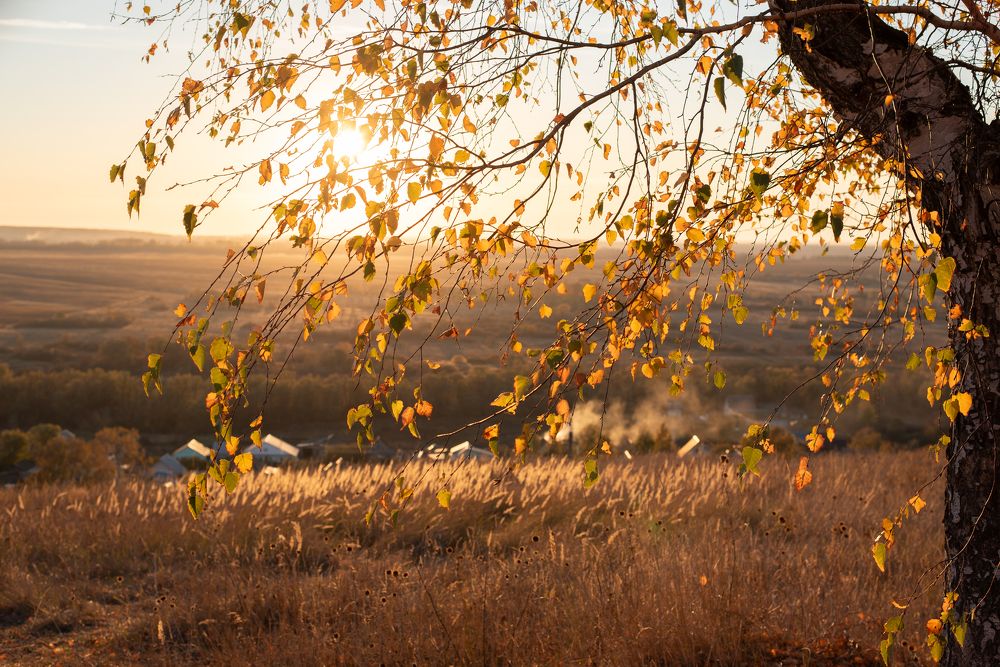 Photograph by Оксана Смирнова