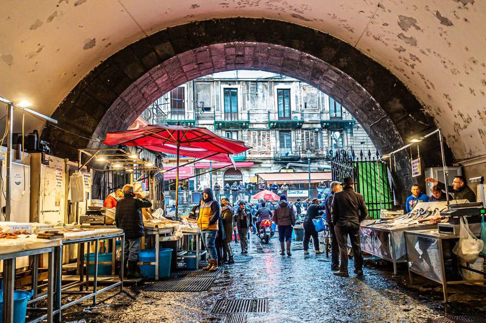 Photograph by Francisco José López Fernández