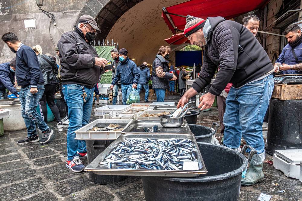 Photograph by Francisco José López Fernández