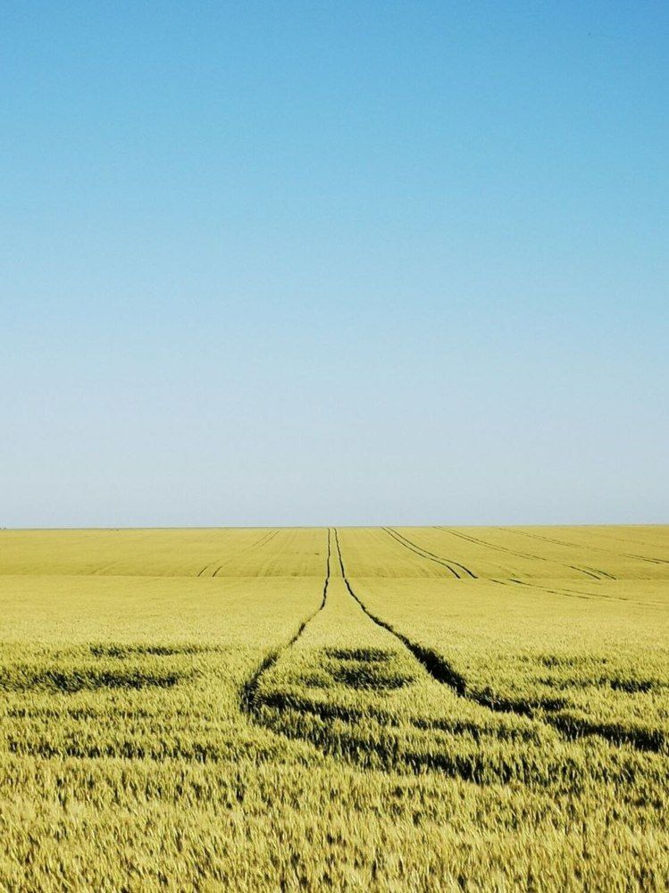 Фотография автора Андрей Богданов