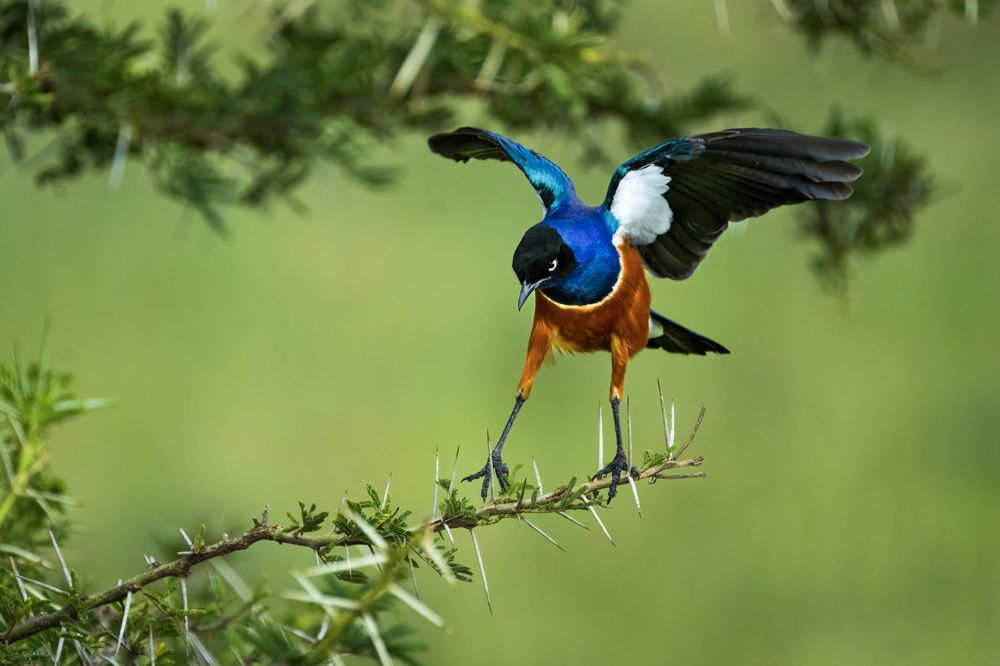 Photograph by Николай Мозгунов