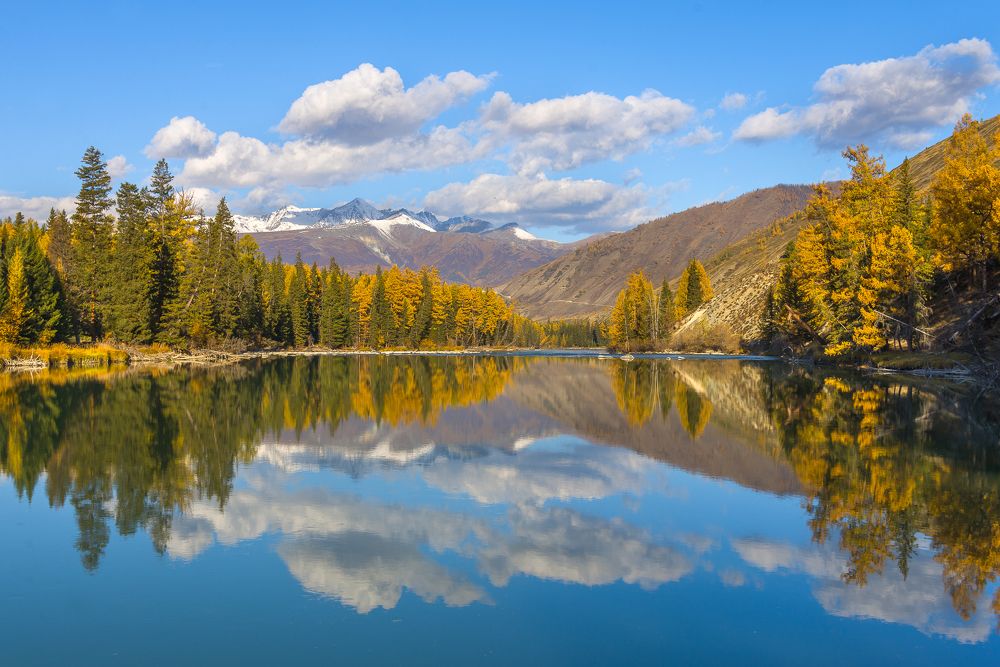 Photograph by Tatyana