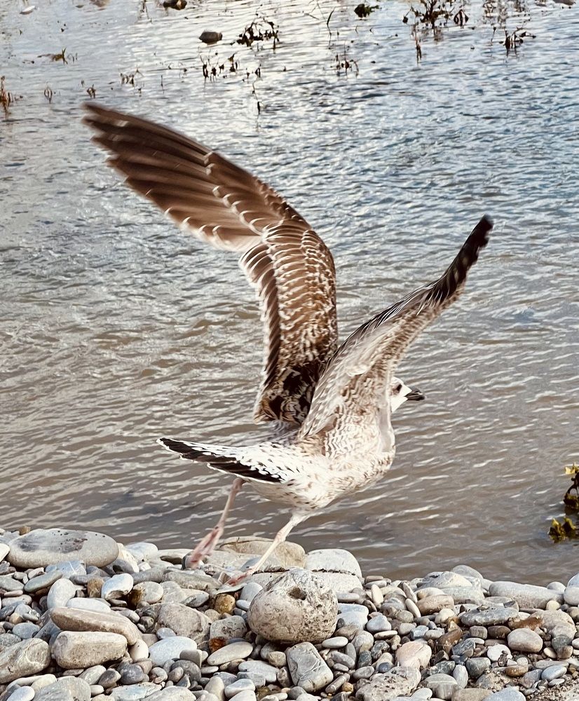 Photograph by Татьяна Михайловна