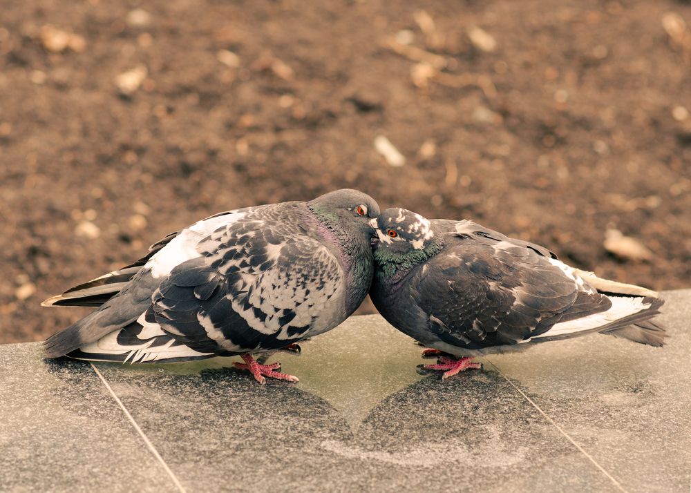 Photograph by Татьяна Валерьевна