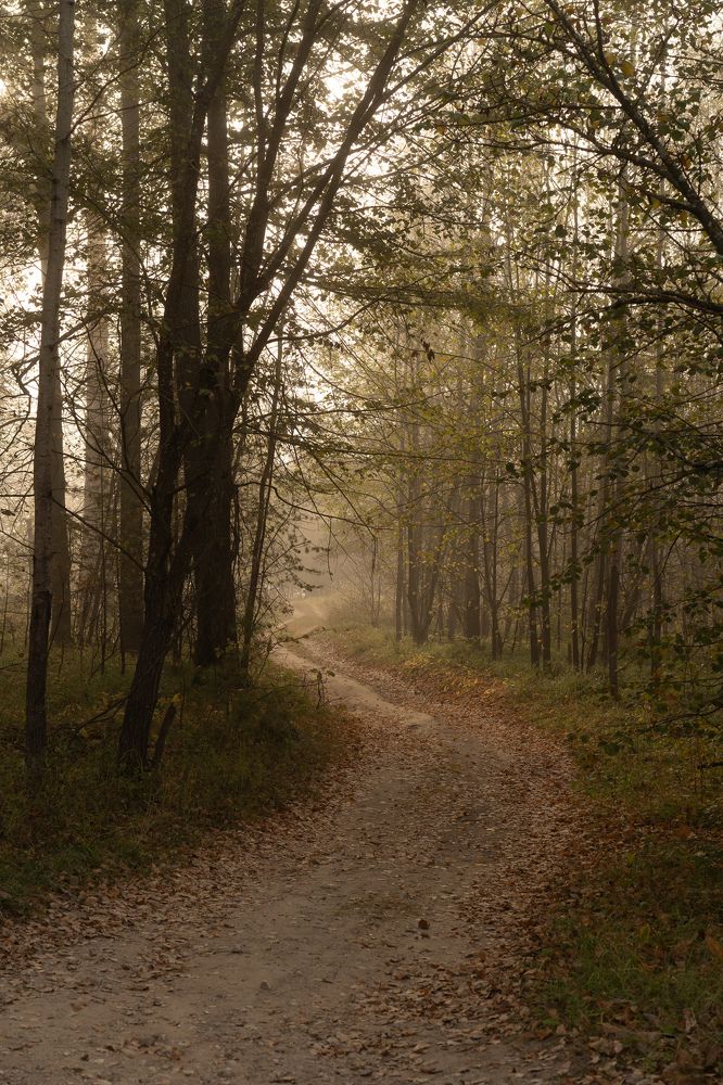 Photograph by Елизавета Фирстова