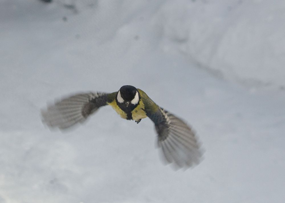 Photograph by Татьяна Валерьевна