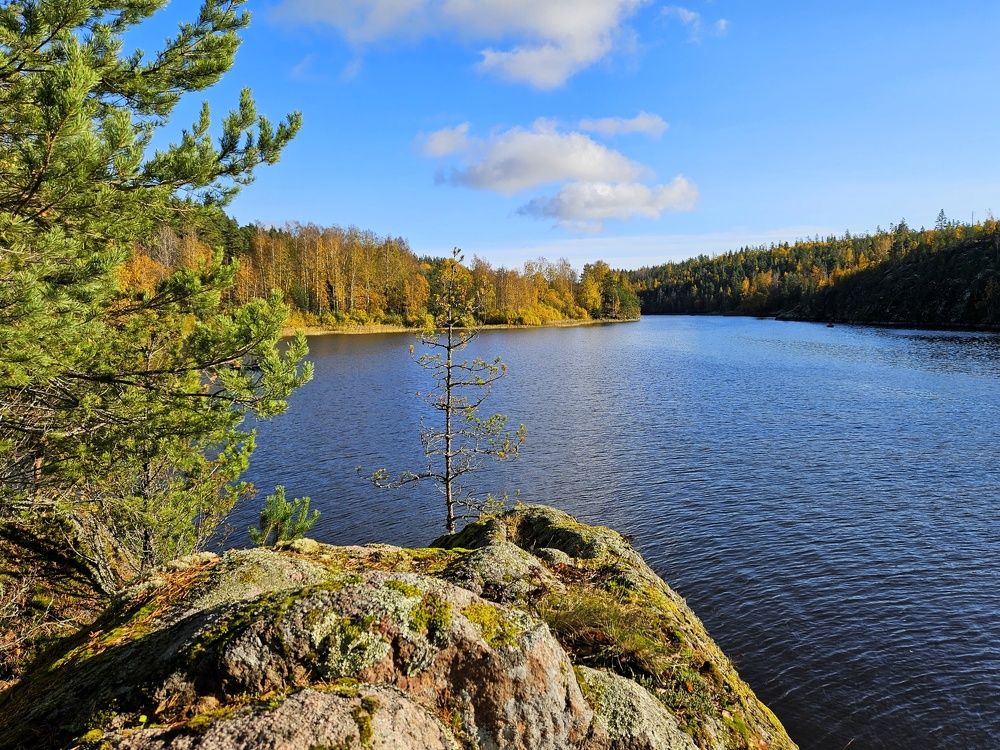 Photograph by Анастасия Алтабаева