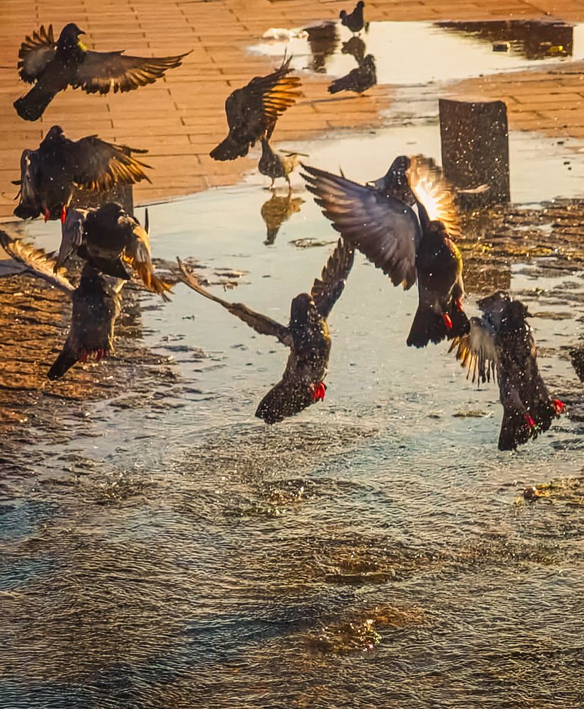 Фотография автора Walfrido Alexandre