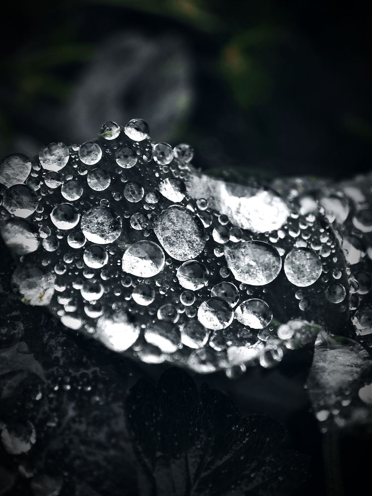Photograph by Алексей Климов