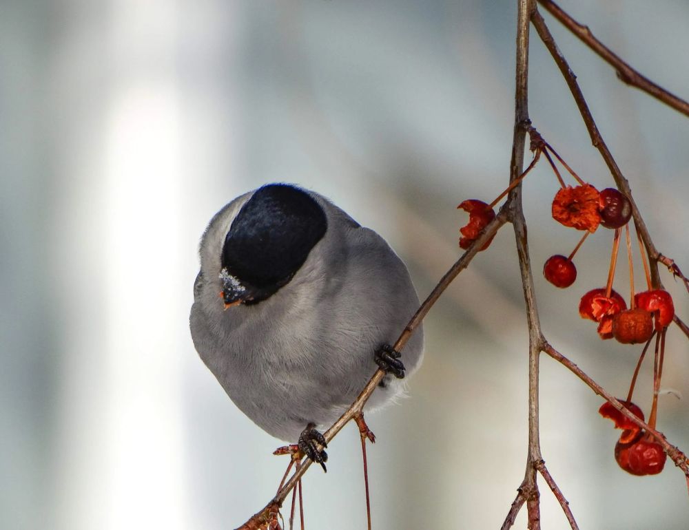 Photograph by Анжелика Трошина