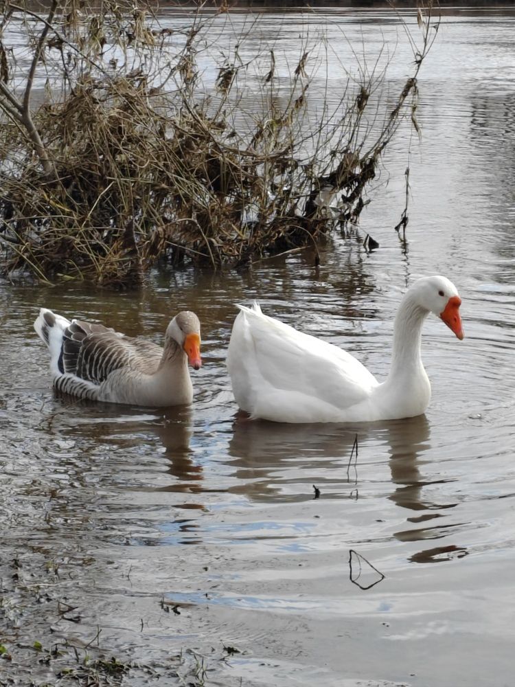 Photograph by Татьяна Егорова