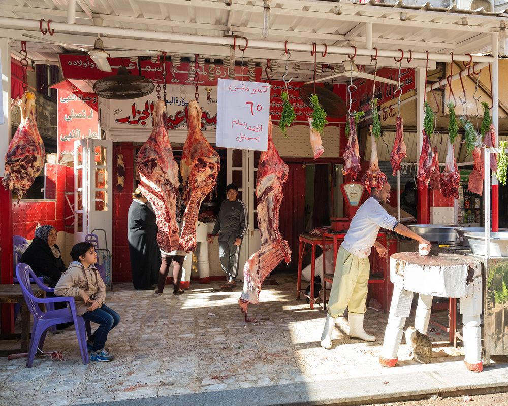 Photograph by Антипов Игорь