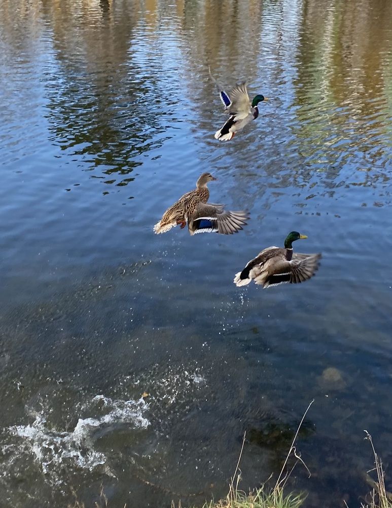 Photograph by Алиса Лукина