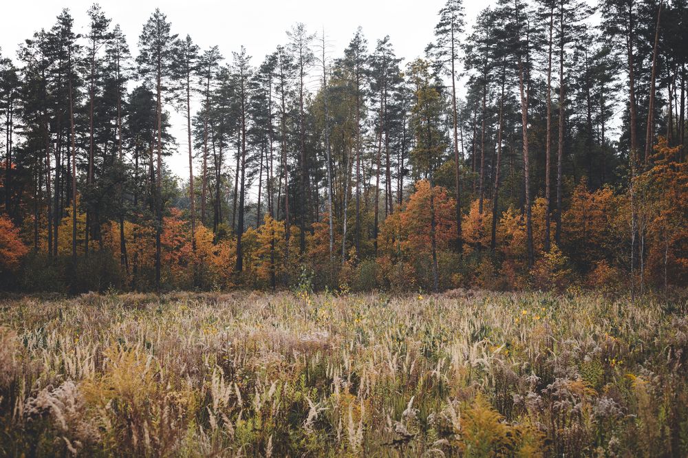 Photograph by Зенченко Алексей