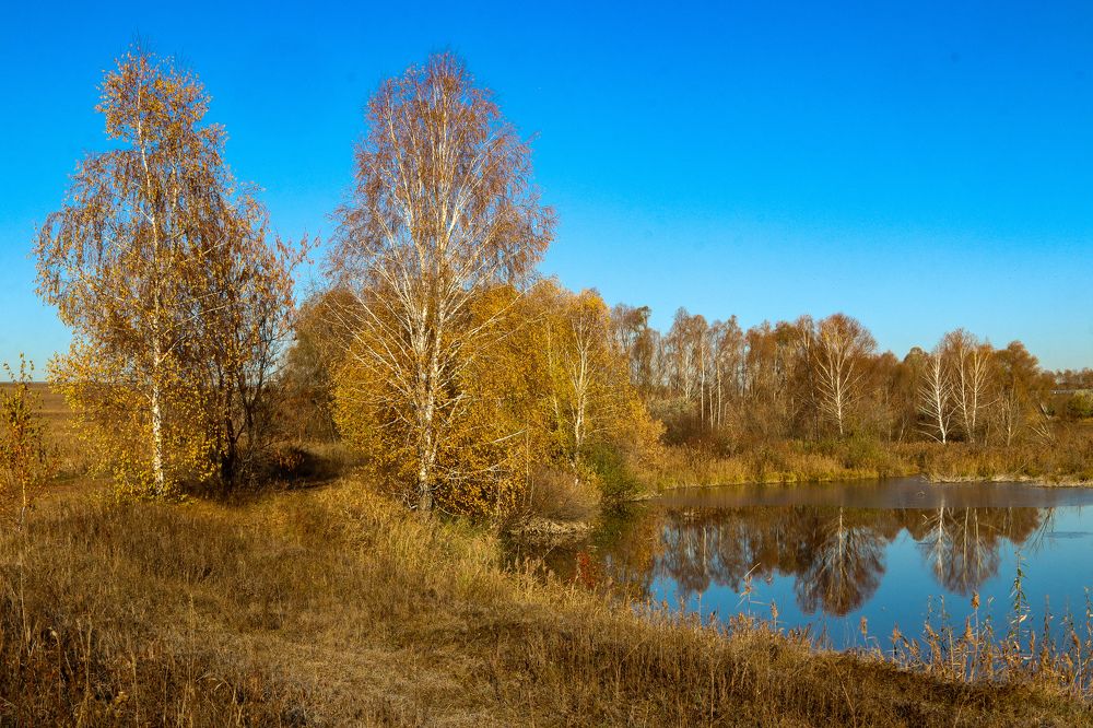 Photograph by Елена Рудкевич