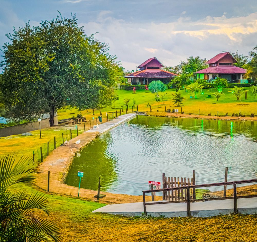 Фотография автора Walfrido Alexandre