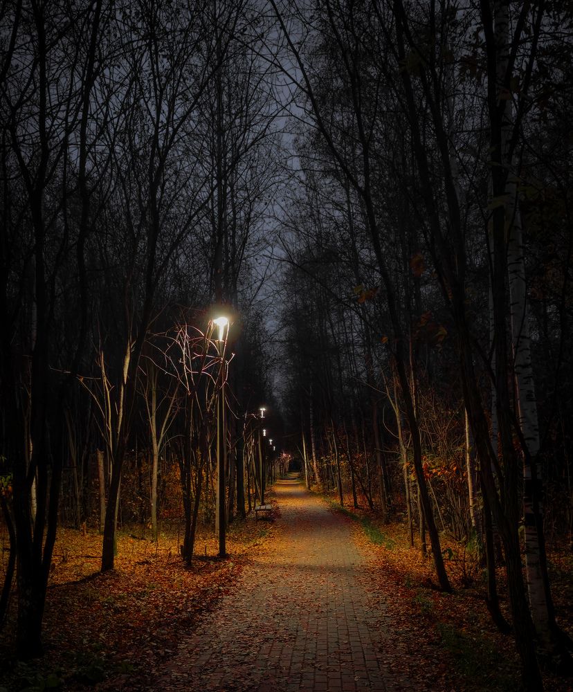 Photograph by Савелий Юрченко