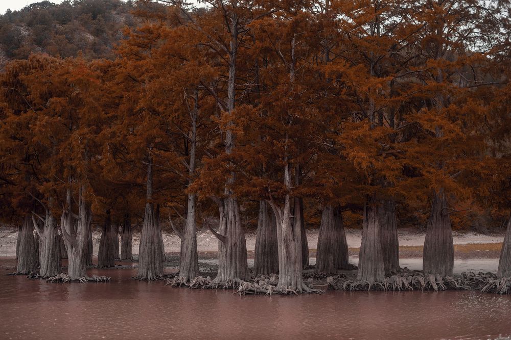 Photograph by Мария Логовик