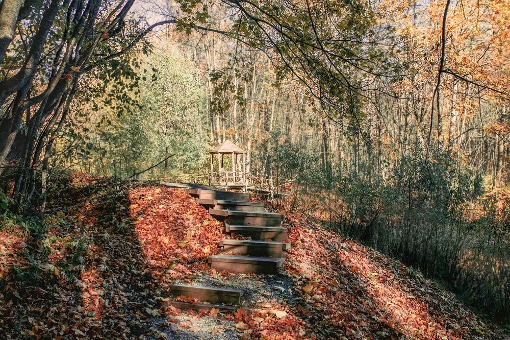 Photograph by Светлана= Гущина