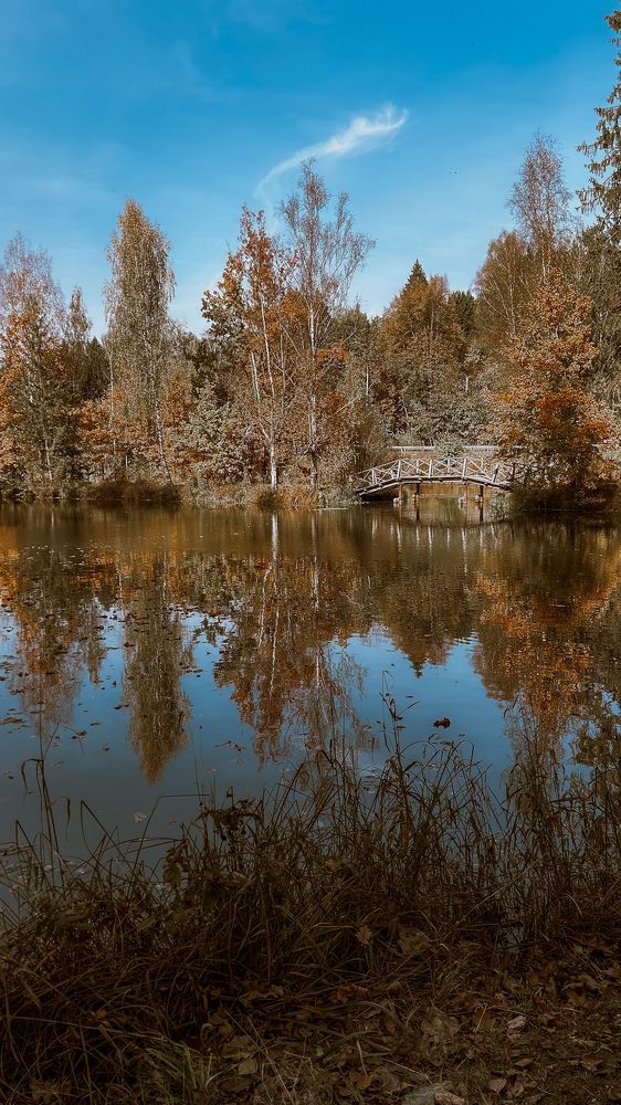 Photograph by Татьяна