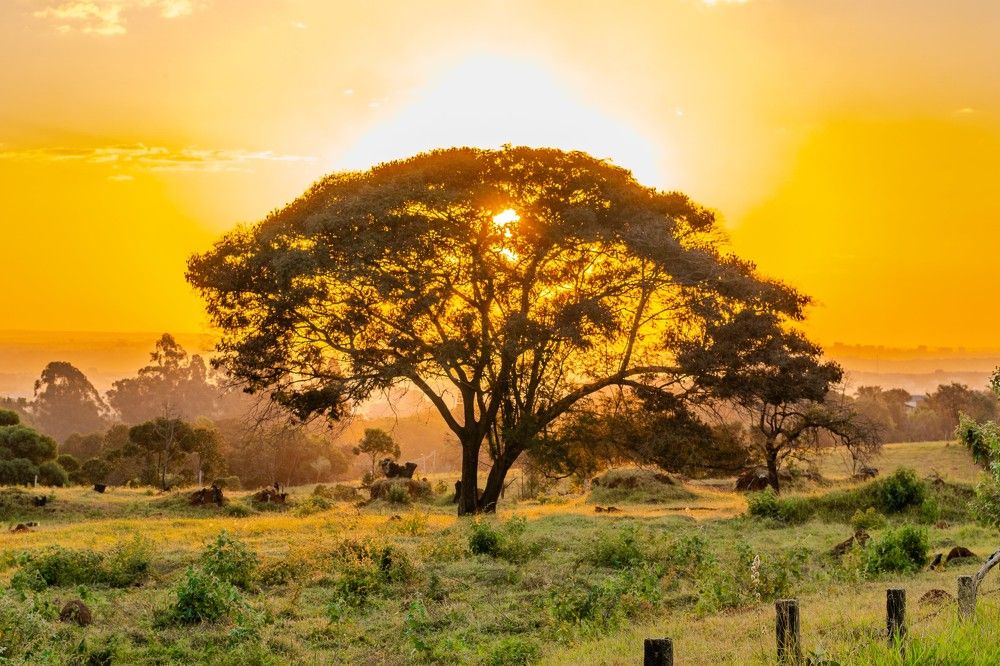 Фотография автора Antonio Etevaldo Rodrigues Junior