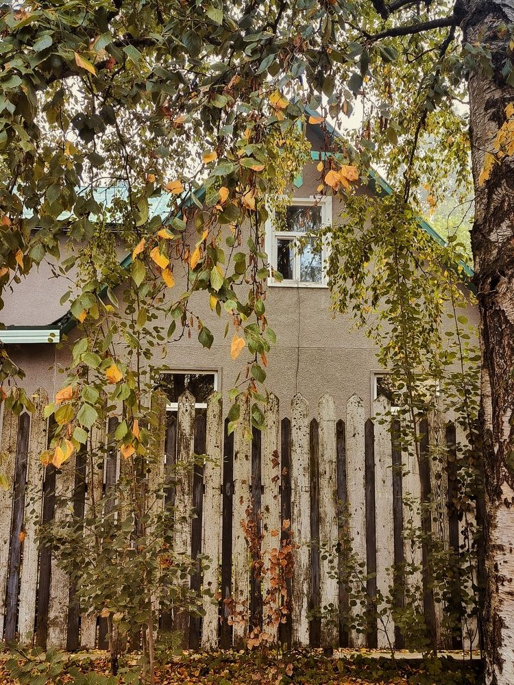 Photograph by Anastasia Uraeva