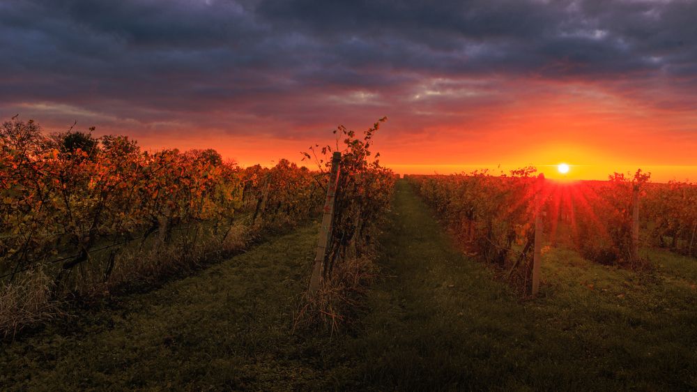 Photograph by Michal Krejčíř