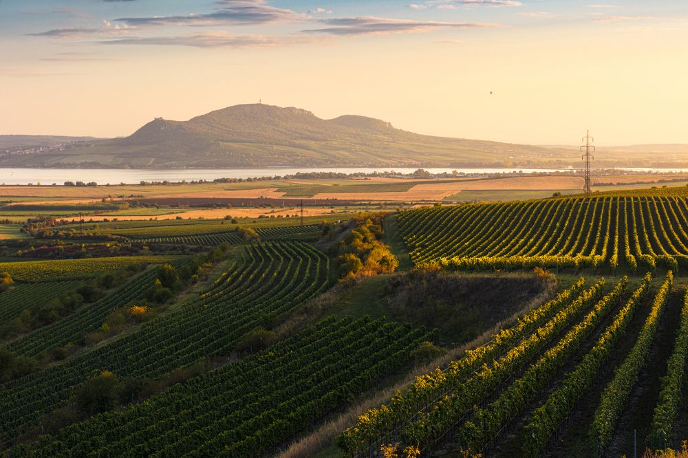 Photograph by Michal Krejčíř