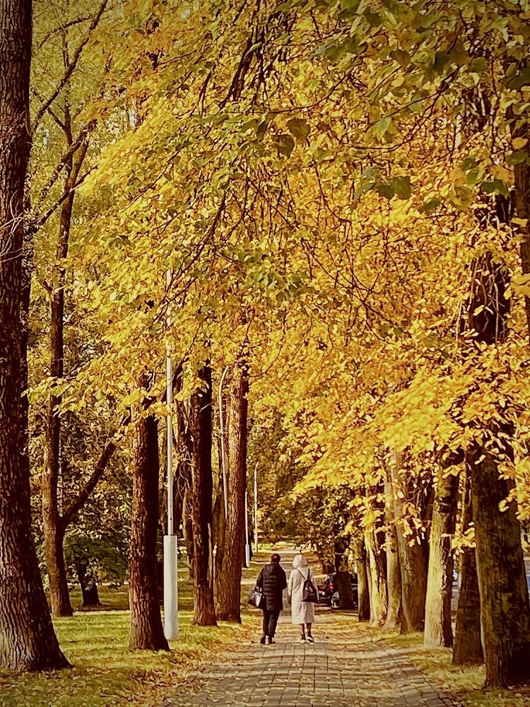 Photograph by Светлана Долганова