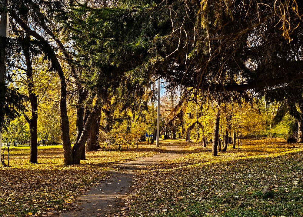Фотография автора Максим Грибанов