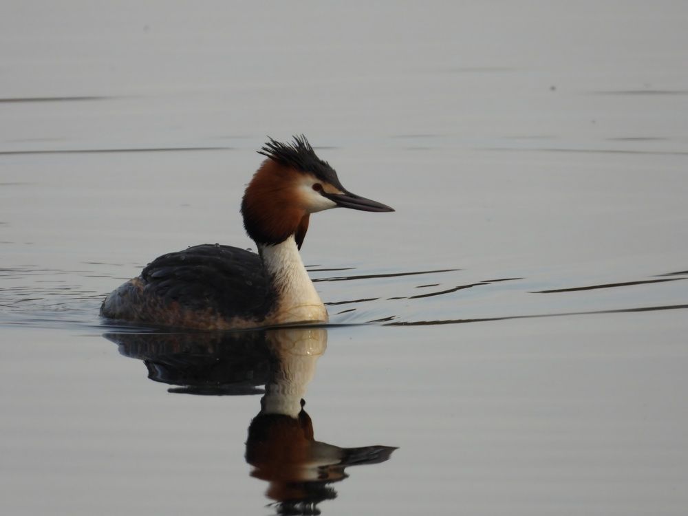 Photograph by Александр Шаварин