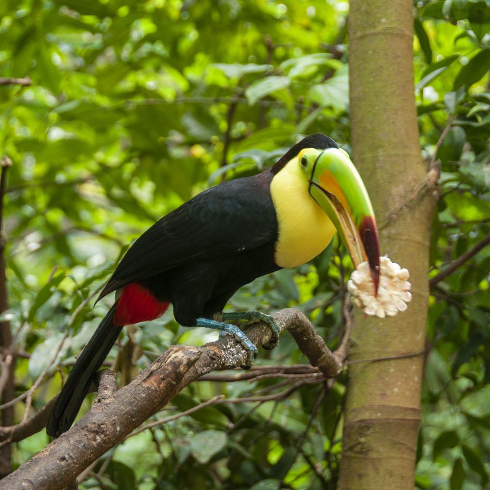 Photograph by gustavo gatto