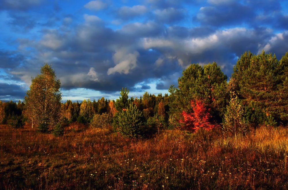Нас учит осень замечать, Как изменяется природа...