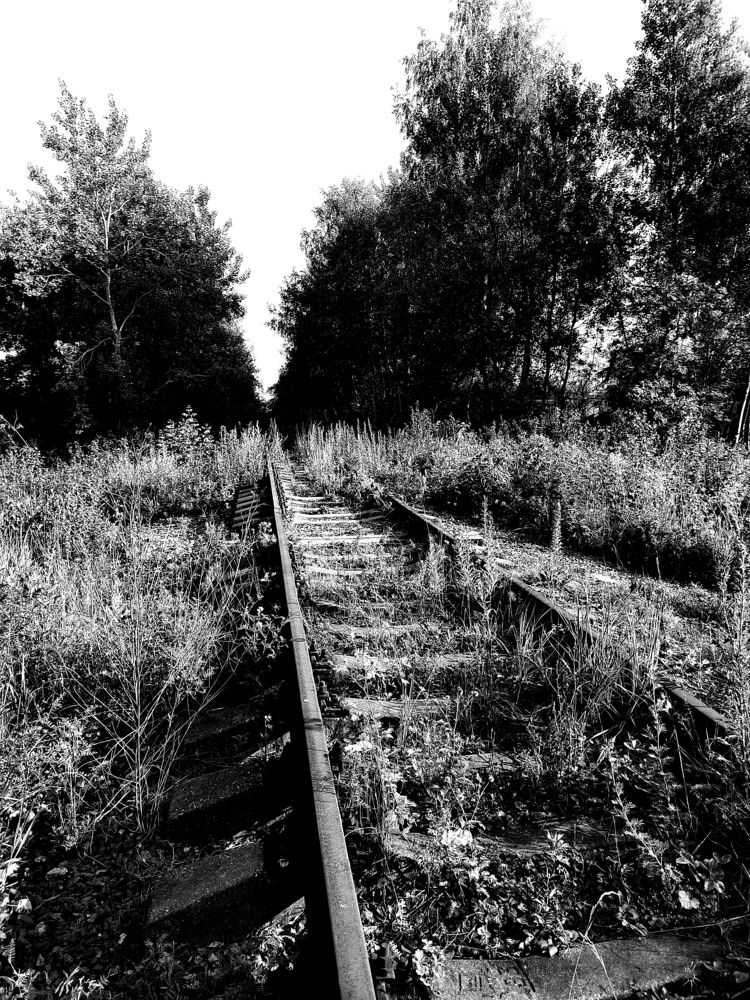 Photograph by Юдин Сергей Владимирович