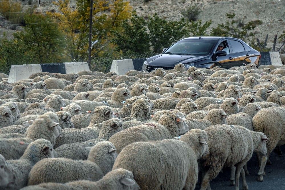 Photograph by Евгений Киселев