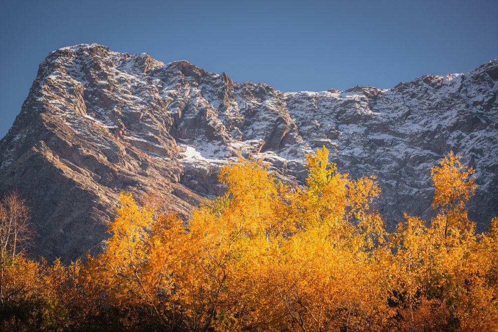 Фотография автора Сергей Котов