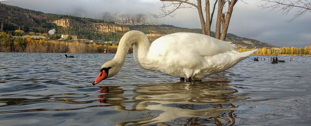 Photograph by Савчук Сергей