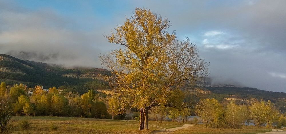 Photograph by Савчук Сергей