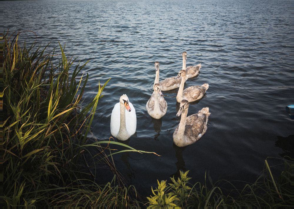 Photograph by Vitaliy