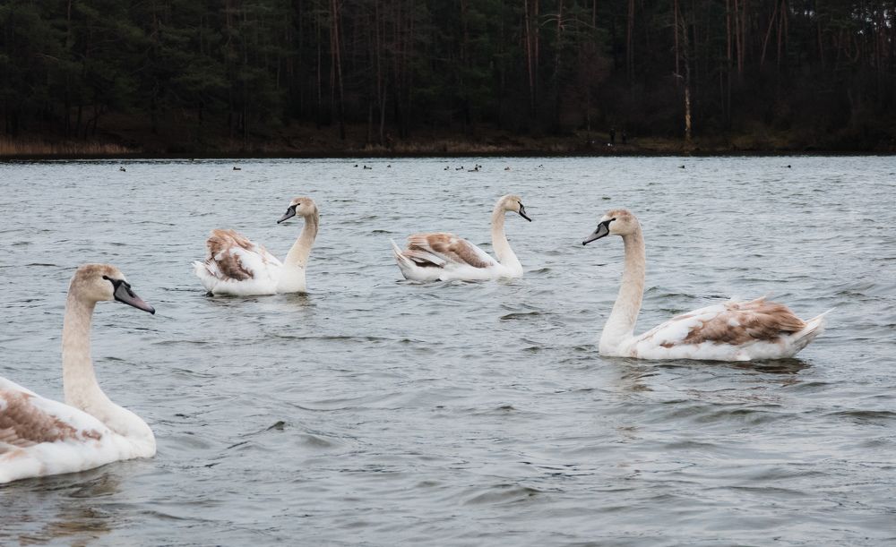 Photograph by Vitaliy