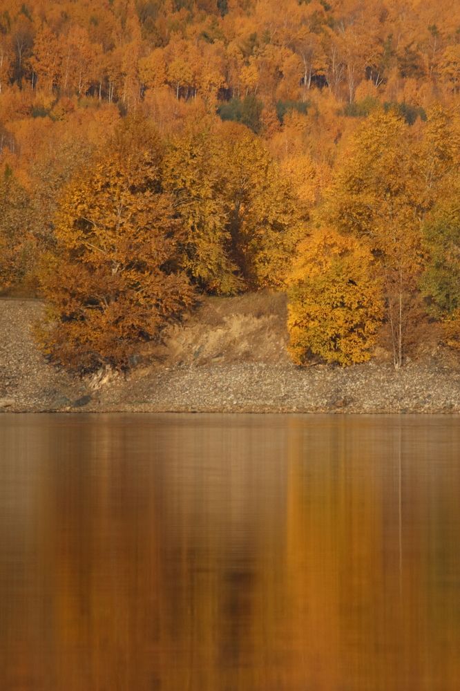 Photograph by Тимофей Федоровцев
