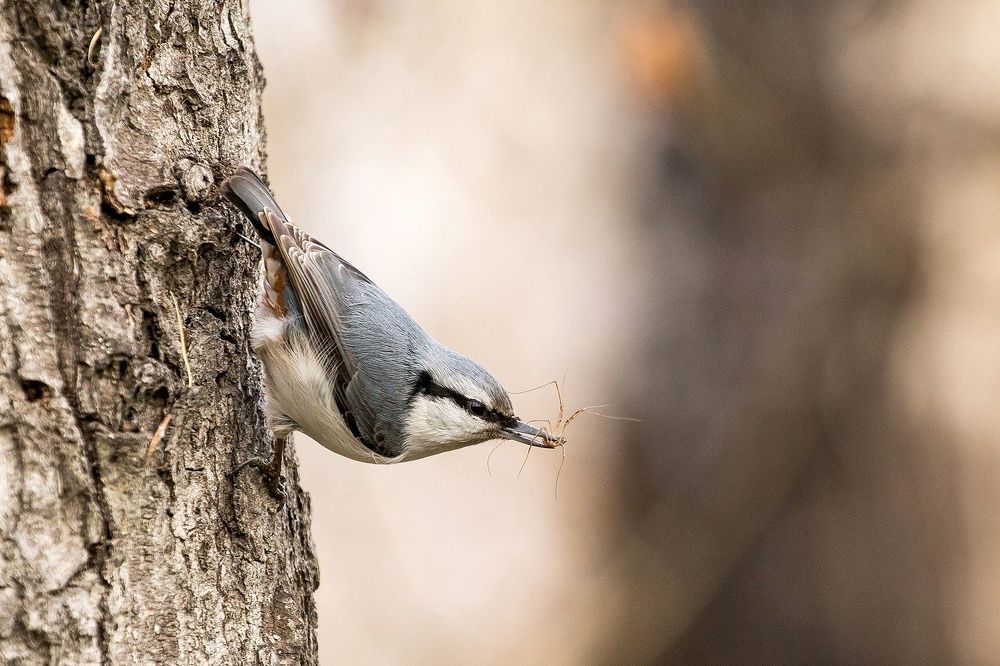 Photograph by Сосновских Вячеслав