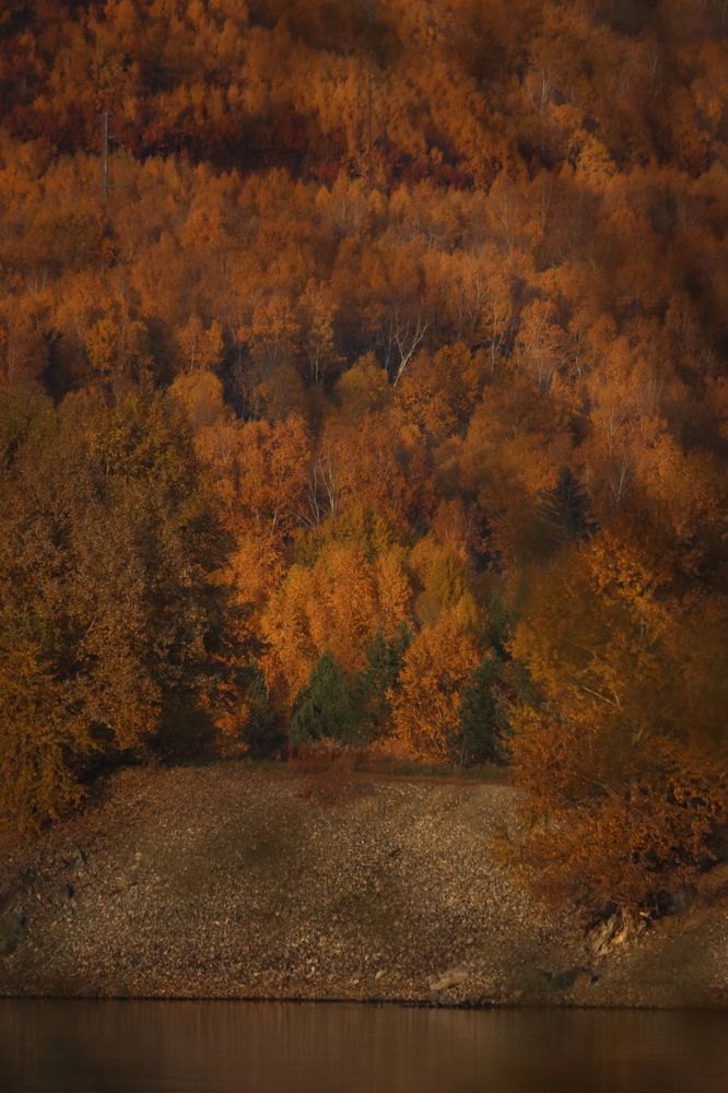 Photograph by Тимофей Федоровцев