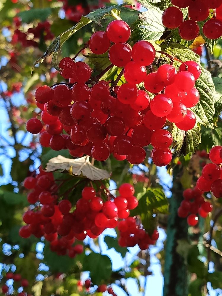 Photograph by Галина Смирнова