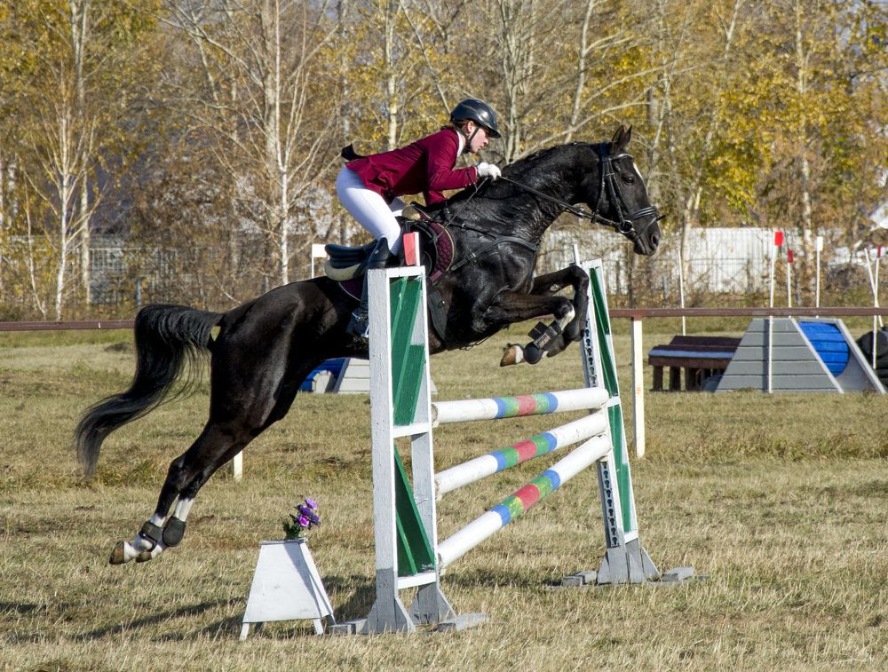 Photograph by Татьяна Титова